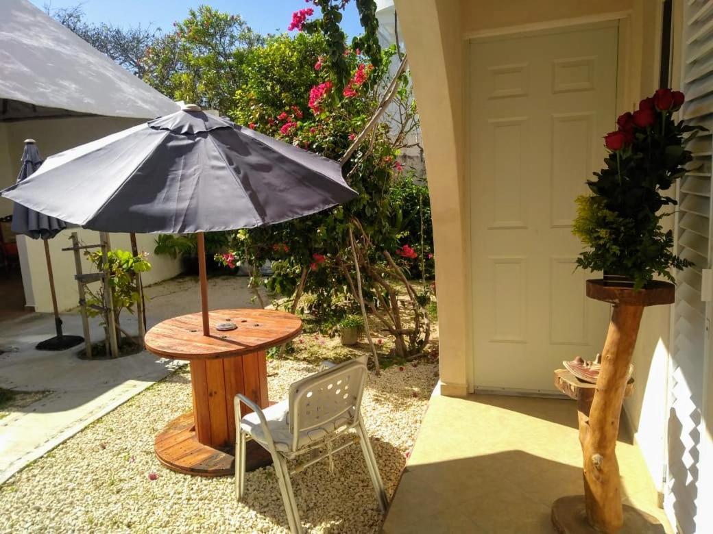 Balanca Studios Puerto Morelos Eksteriør billede