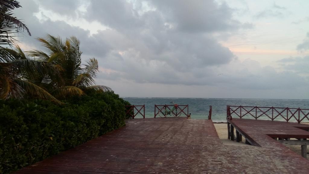 Balanca Studios Puerto Morelos Eksteriør billede